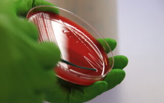diagnostics-tray.jpg